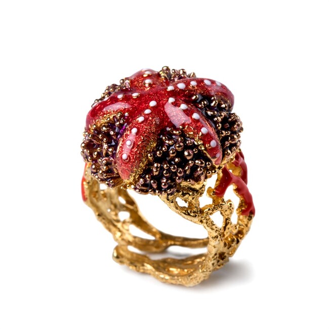 Anelli 20000793 anello stella riccio
